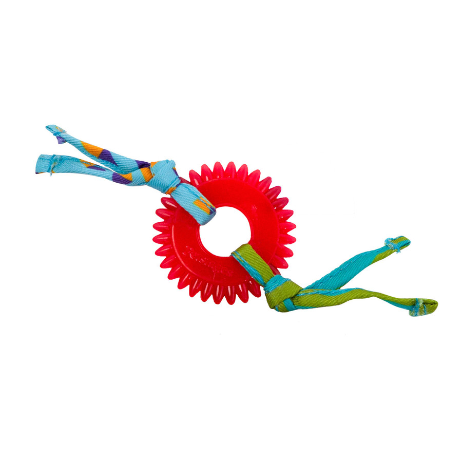 Dental Kitty Chew Wheel Cat Toy Multi
