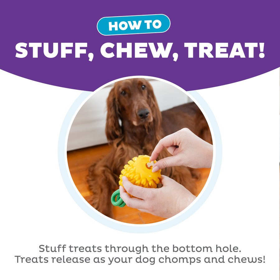 Dental Pineapple Dental Chew Toy And Interactive Treat Stuffer Yellow