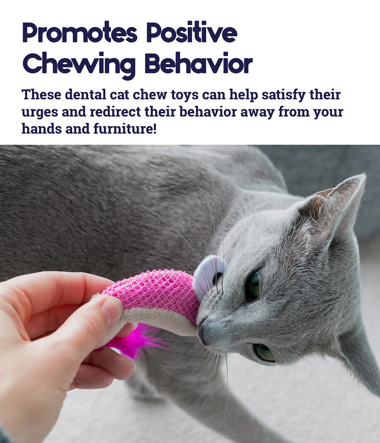 Dental Shrimpies Cat Chew Toy - 2 Pack Multi