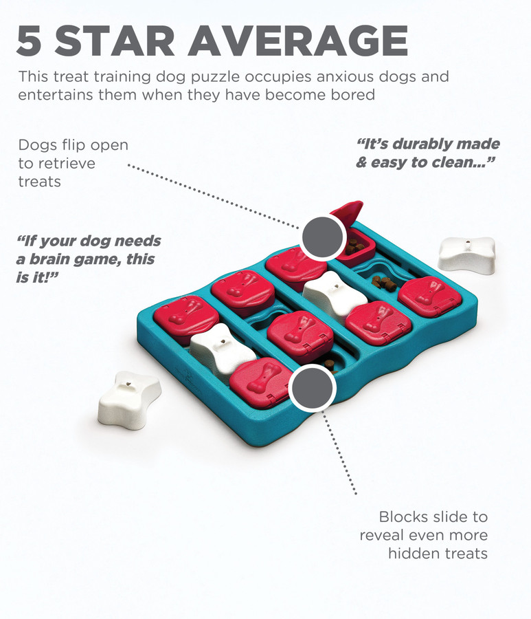 Dog Brick Interactive Treat Puzzle Dog Toy Blue