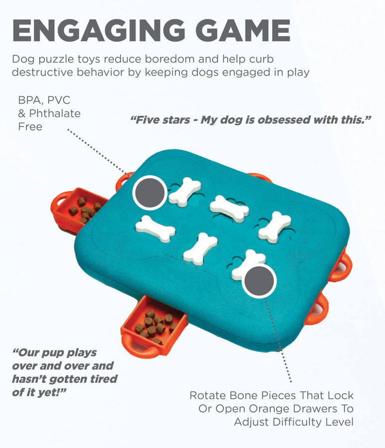 Dog Casino Interactive Treat Puzzle Dog Toy Turquoise