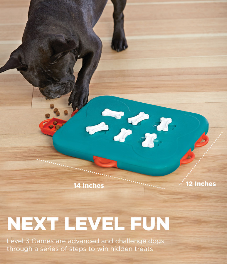 Dog Casino Interactive Treat Puzzle Dog Toy Turquoise