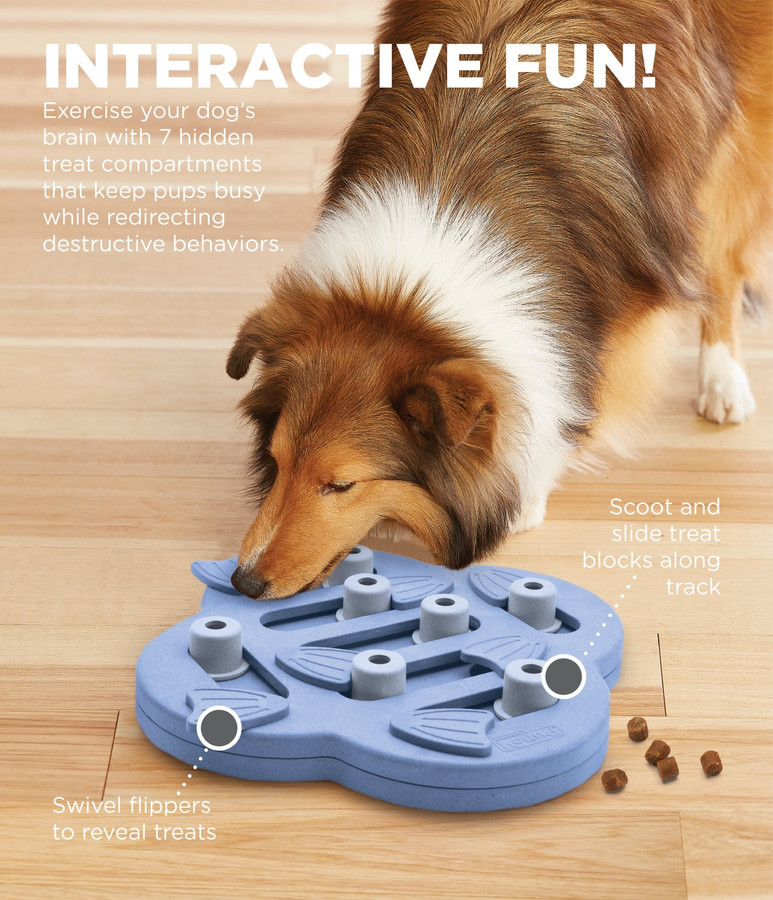 Dog Hide N' Slide Interactive Treat Puzzle Dog Toy Purple