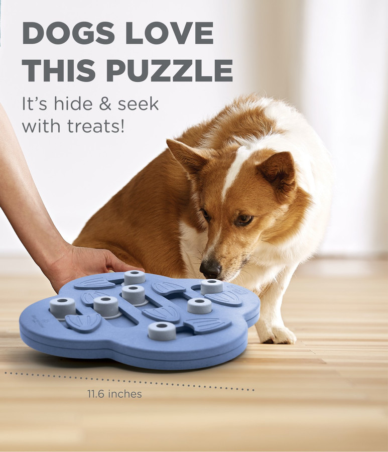 Dog Hide N' Slide Interactive Treat Puzzle Dog Toy Purple