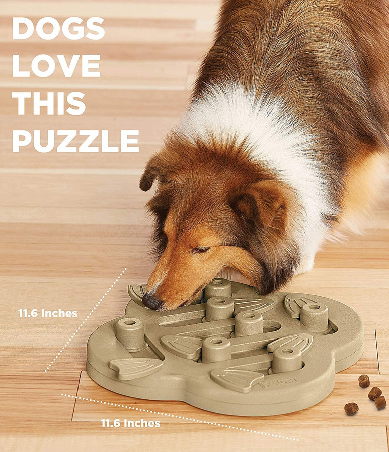 Dog Hide N' Slide Interactive Treat Puzzle Dog Toy Tan