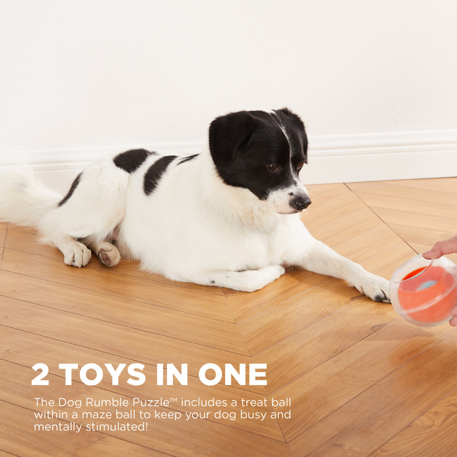 Dog Rumble Puzzle Interactive Dog Ball Puzzle Orange