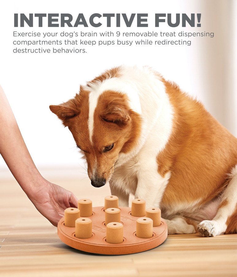 Dog Smart Composite Interactive Treat Puzzle Dog Toy Orange