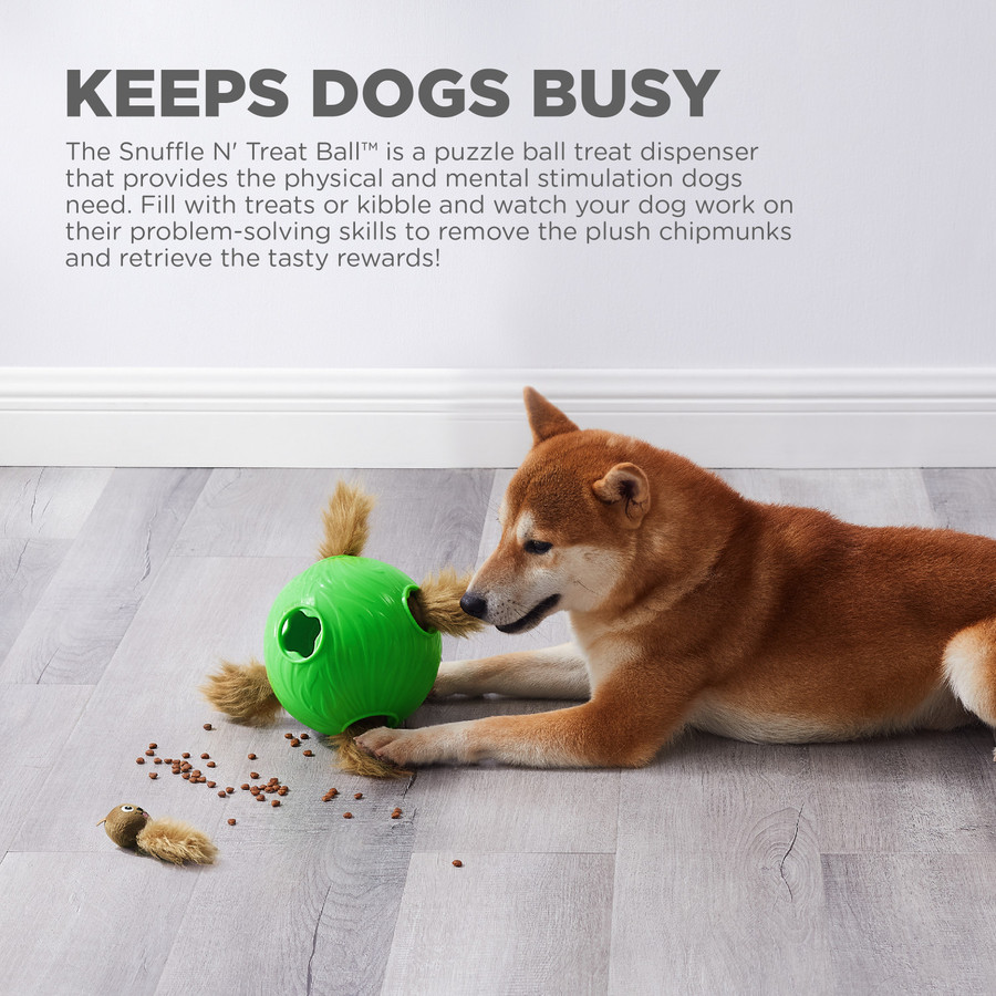 Dog Snuffle N' Treat Ball Puzzle Green Lrg