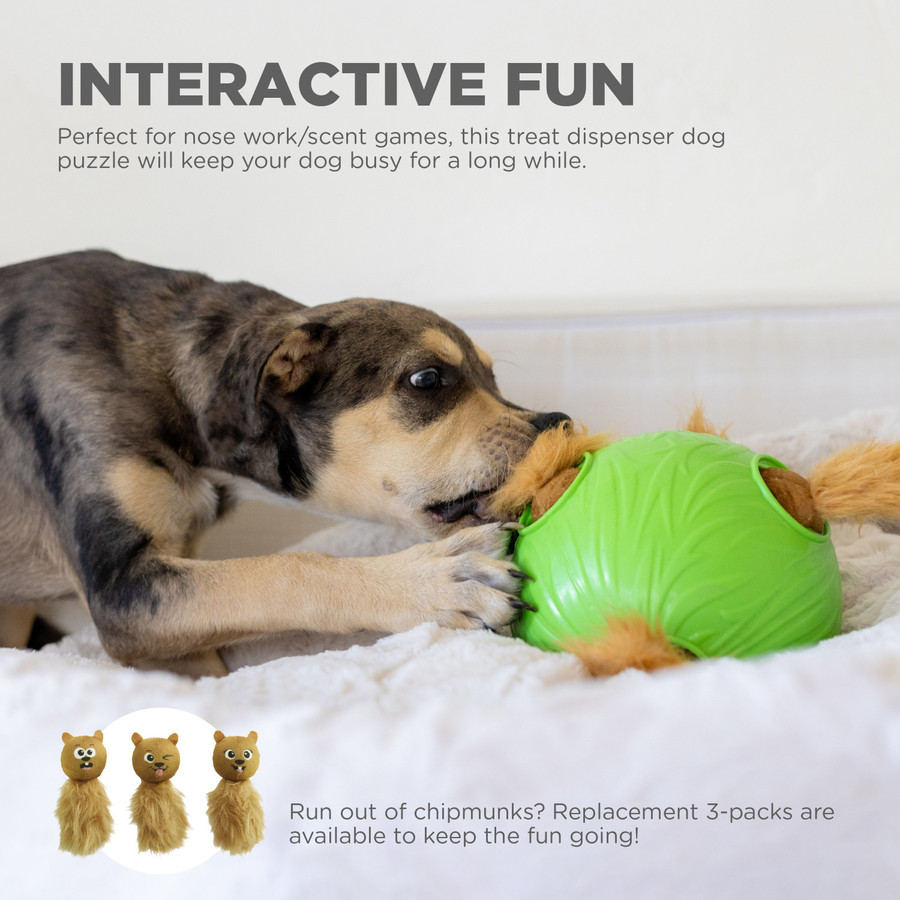 Dog Snuffle N' Treat Ball Puzzle Green Lrg