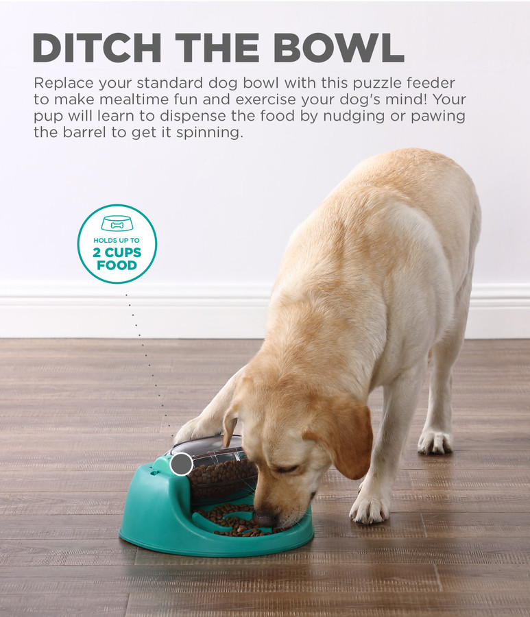 Dog Spin N' Eat Puzzle Green