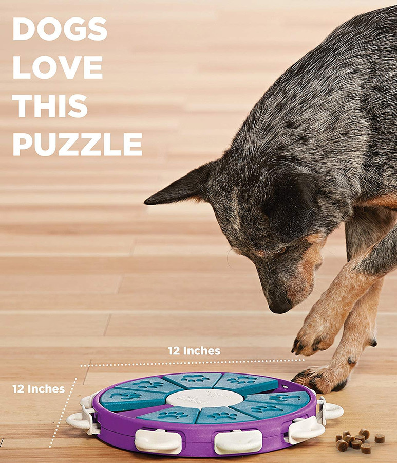 Dog Twister Interactive Treat Puzzle Dog Toy Purple