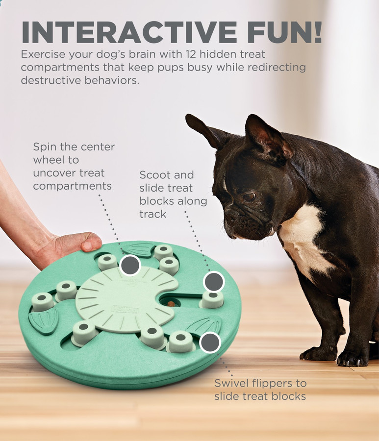 Dog Worker Interactive Treat Puzzle Dog Toy Green