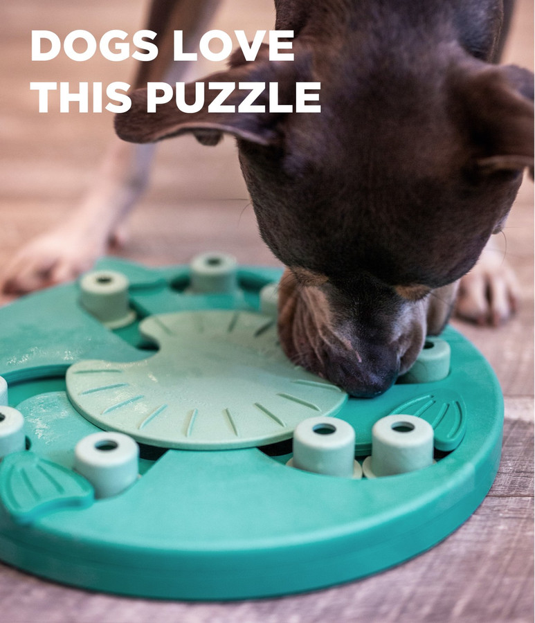 Dog Worker Interactive Treat Puzzle Dog Toy Green