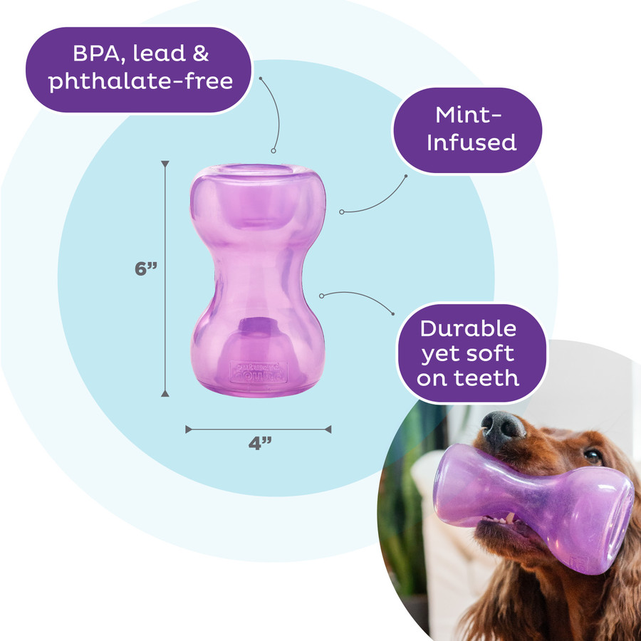 Double Snoop Interactive Treat Stuffer Dog Toy Purple