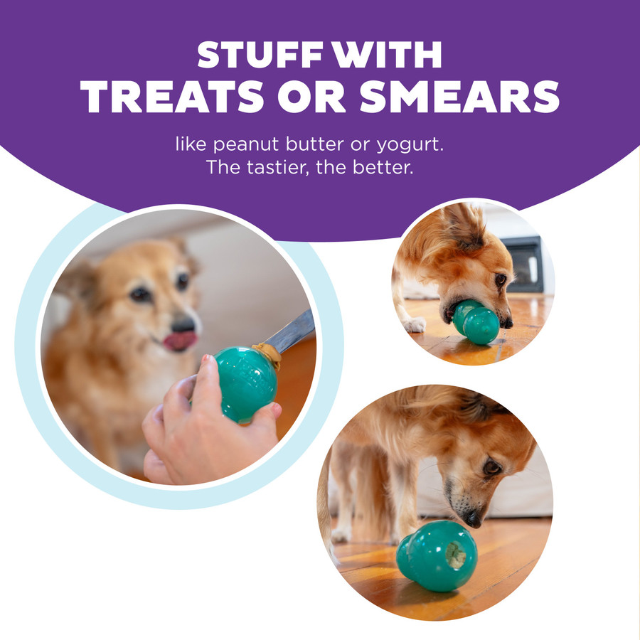 Double-Tuff Interactive Treat Stuffer Durable Dog Chew Toy Blue Medium