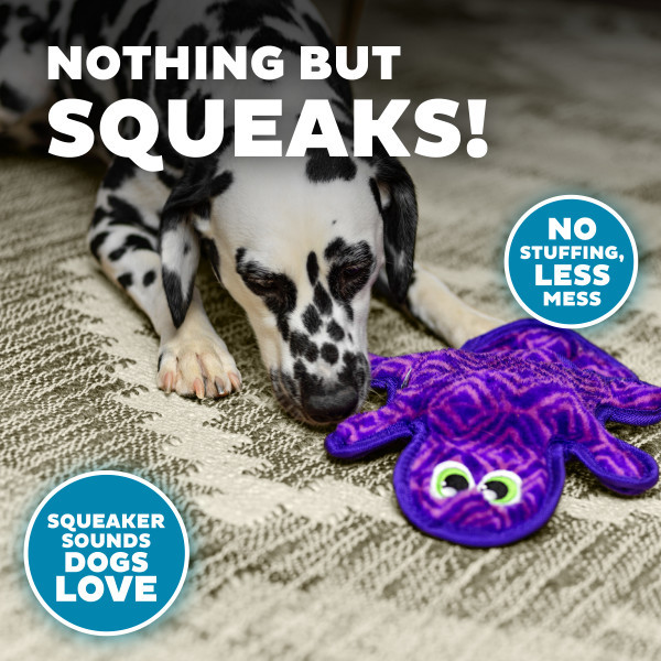 Durablez Gecko Plush Dog Toy Medium