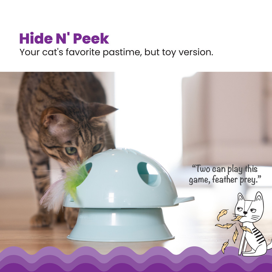 Electronic Dart N' Dash Toy Cat Toy And Cat Ball Track Topper Blue