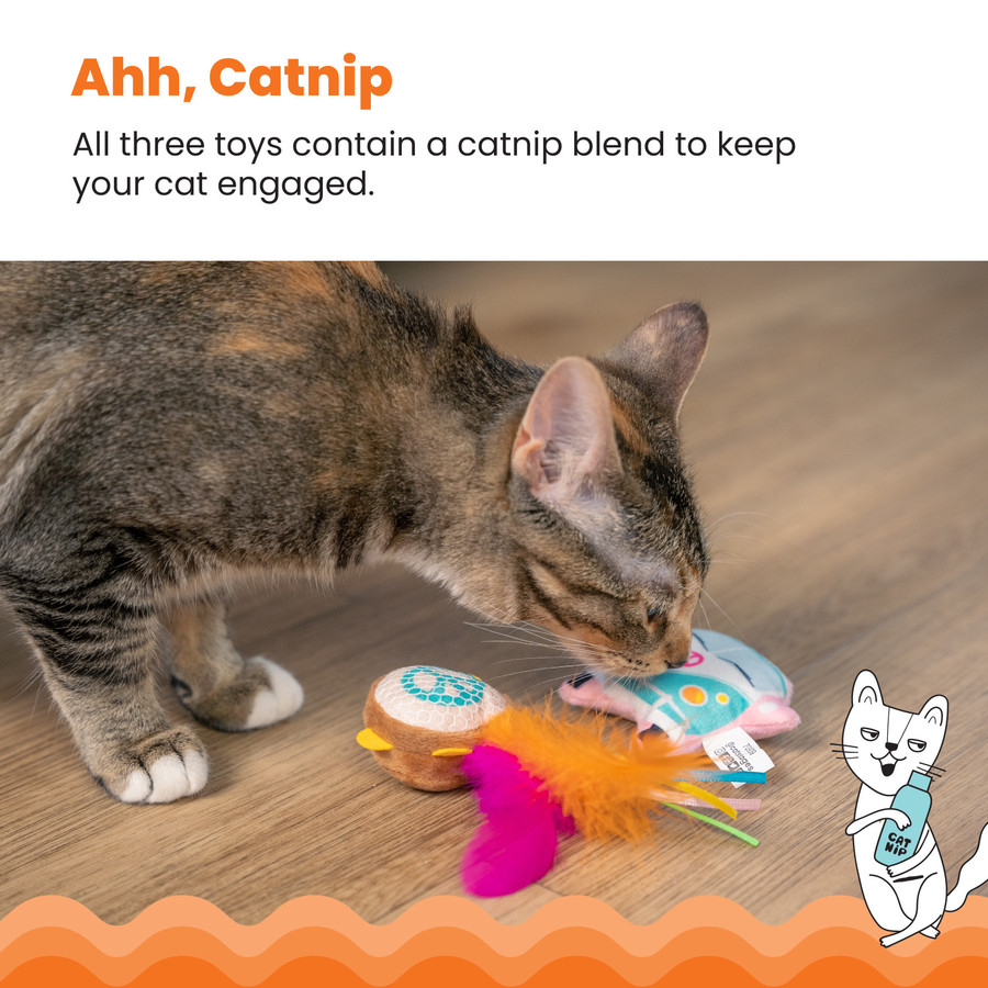 Festival Themed Catnip Cat Toys - 3 Pack Multi