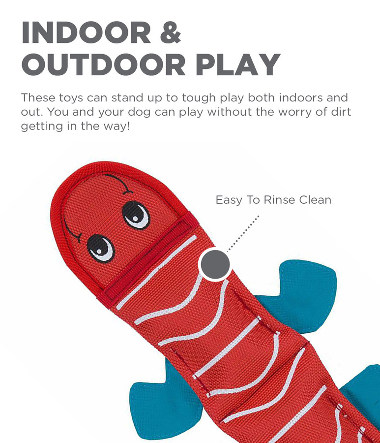 Fire Biterz Lizard Fire Hose Interactive Dog Toy Medium