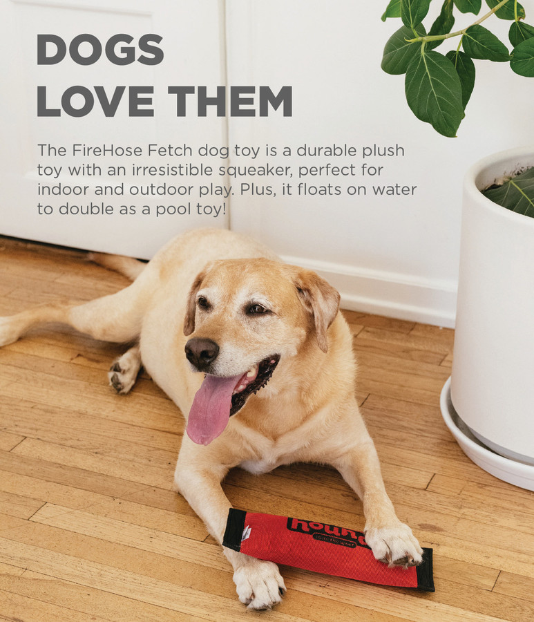 FireHose Fetch Dog Toy