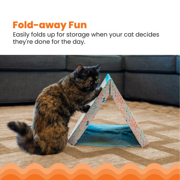 Fold Away Tunnel And Cat Scratcher Multi