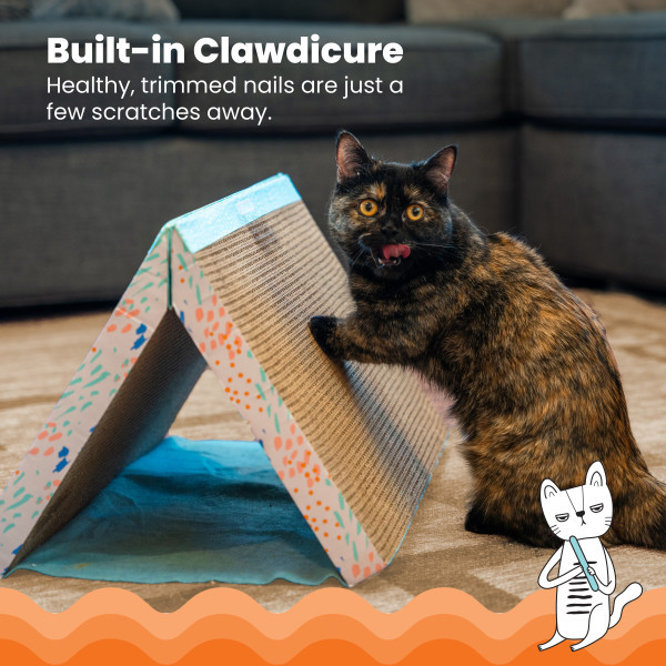 Fold Away Tunnel And Cat Scratcher Multi