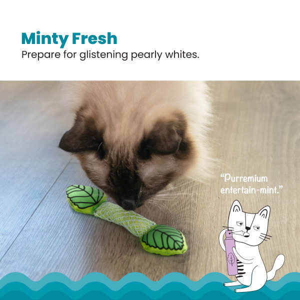 Fresh Breath Mint Stick Dental Cat Chew Toy Green