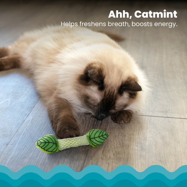 Fresh Breath Mint Stick Dental Cat Chew Toy Green