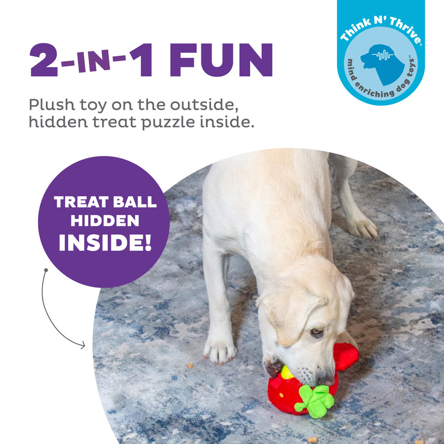 Fruity Findz Interactive Plush Dog Puzzle With Treat Ball Red