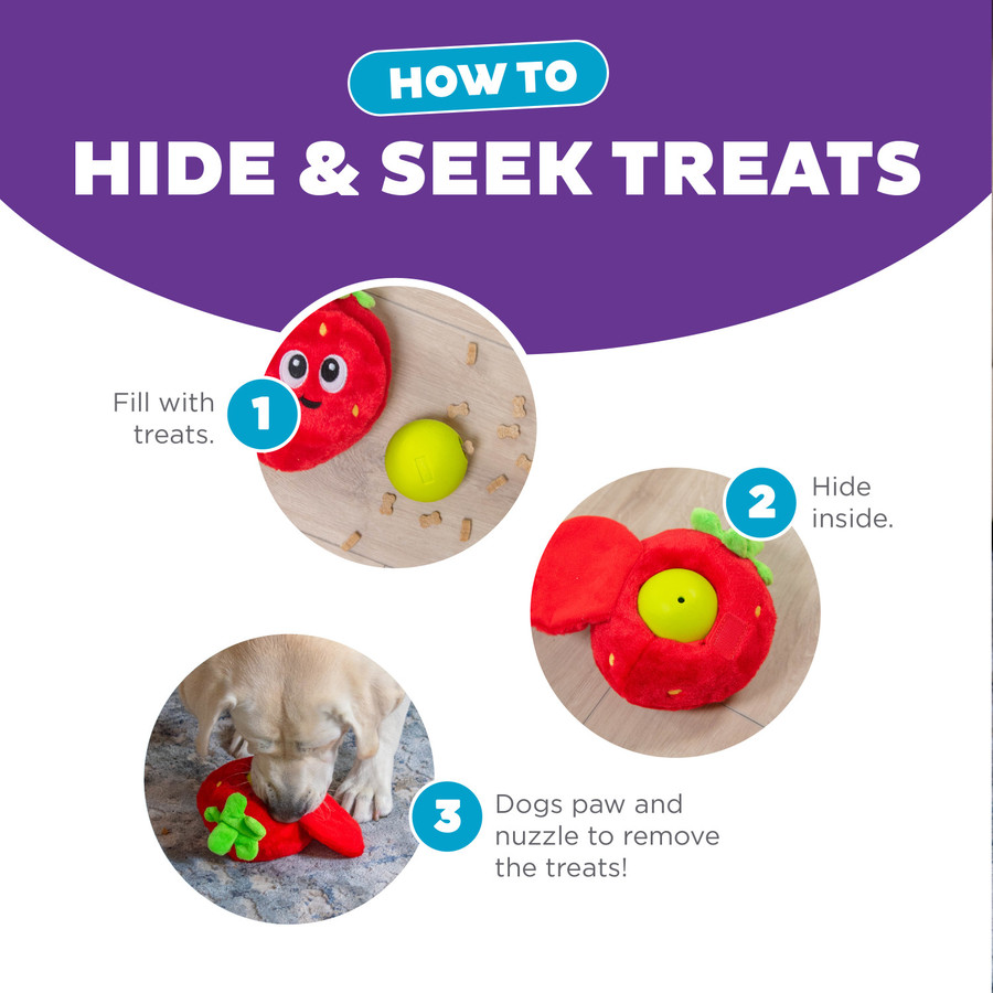 Fruity Findz Interactive Plush Dog Puzzle With Treat Ball Red