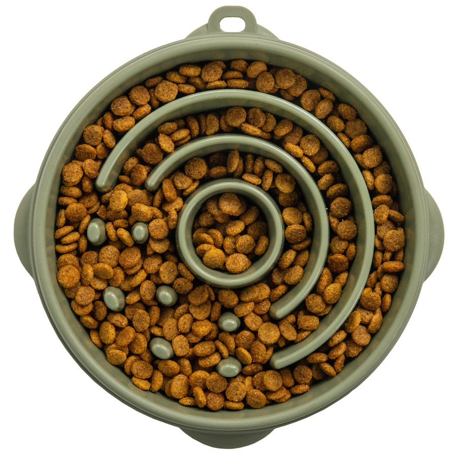 Fun Feeder Circle Sge LG