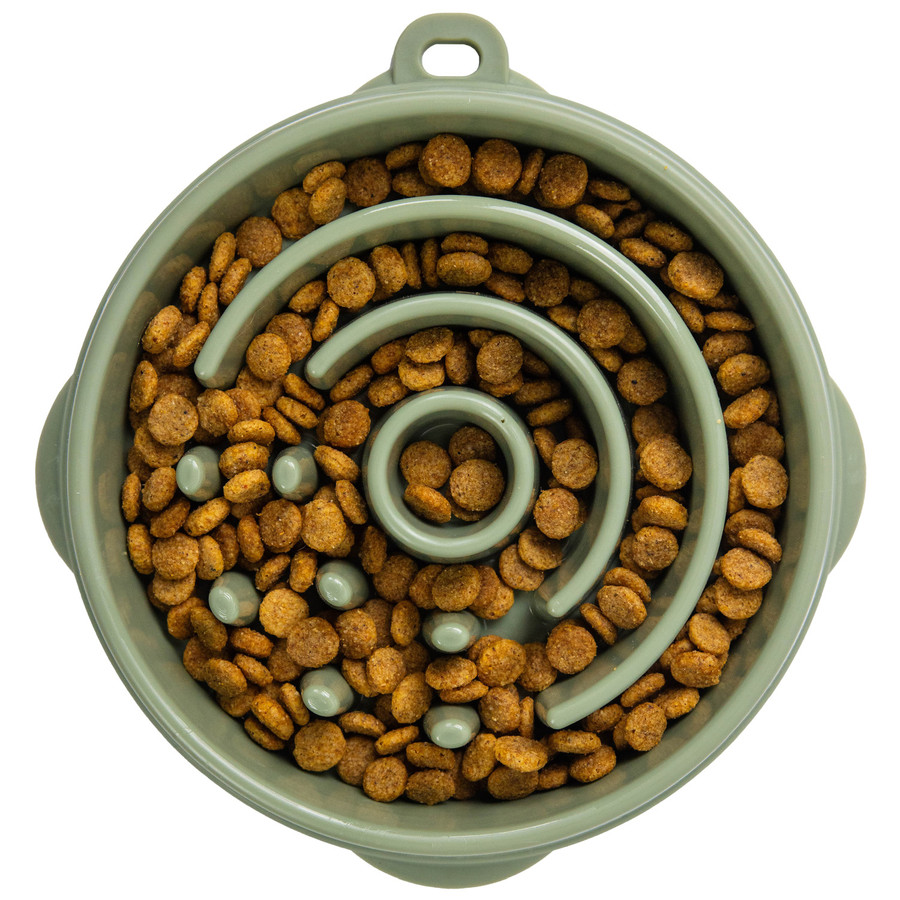 Fun Feeder Circle Sge MD