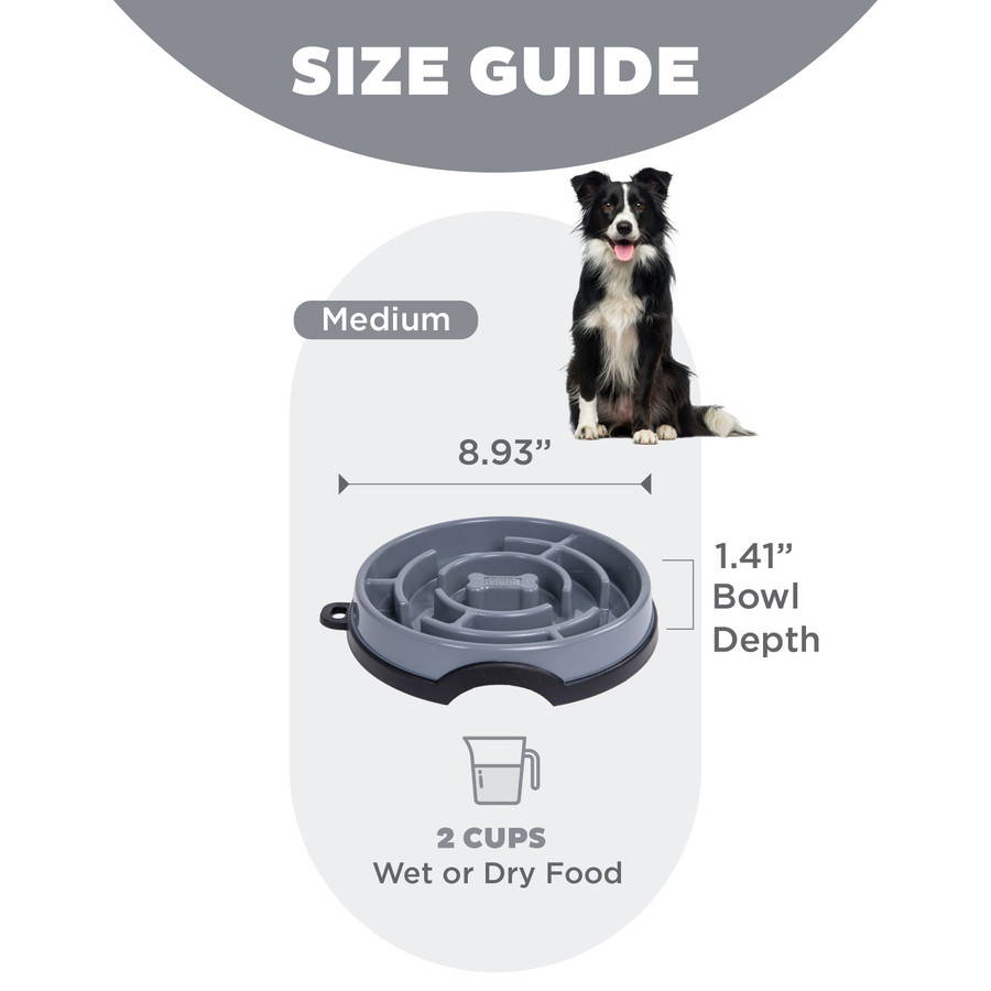 Fun Feeder Maze Gry