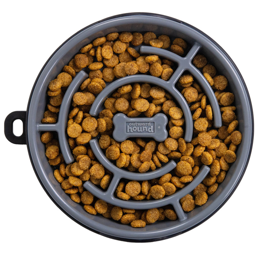 Fun Feeder Maze Gry