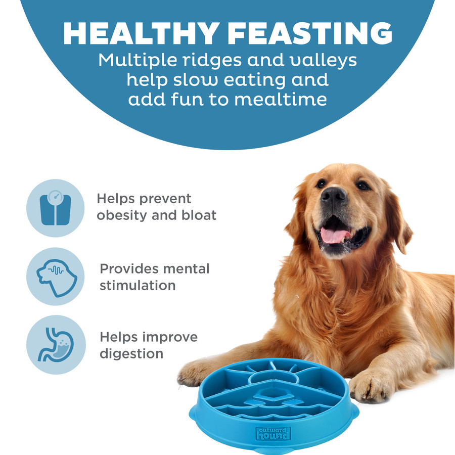 Fun Feeder Mountain Blu LG