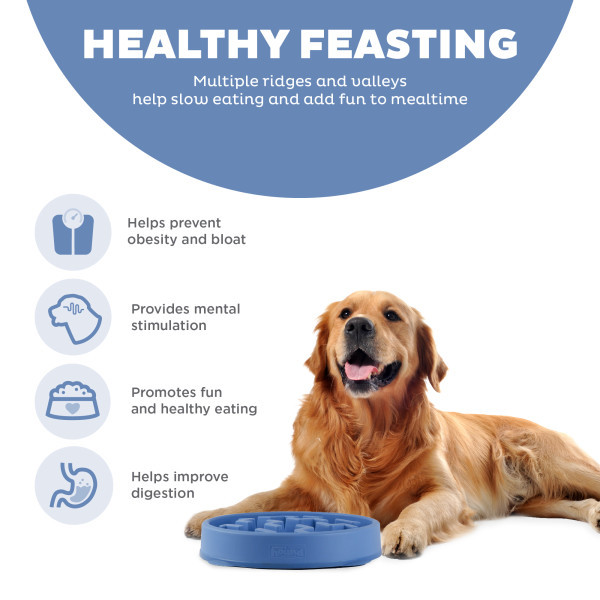 Fun Feeder Slo Bowl Slow Feeder Dog Bowl