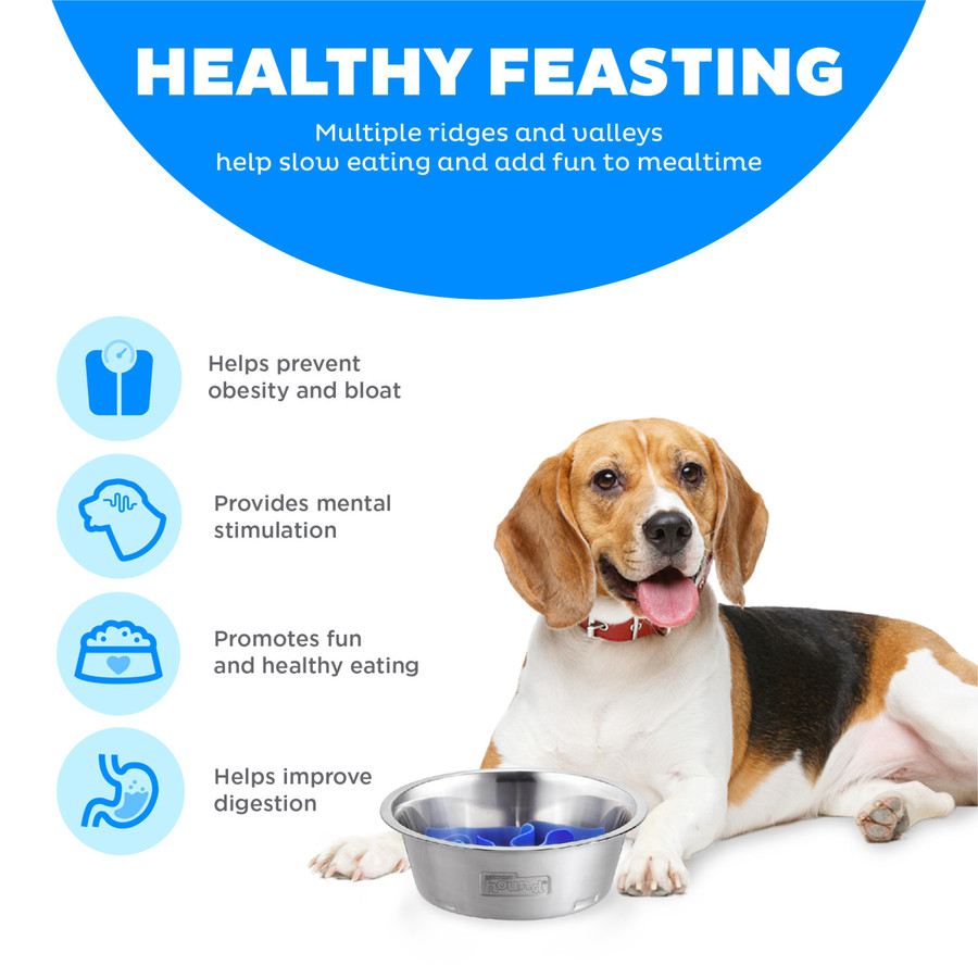 Fun Feeder Stainless Steel Slow Feeder Dog Bowl