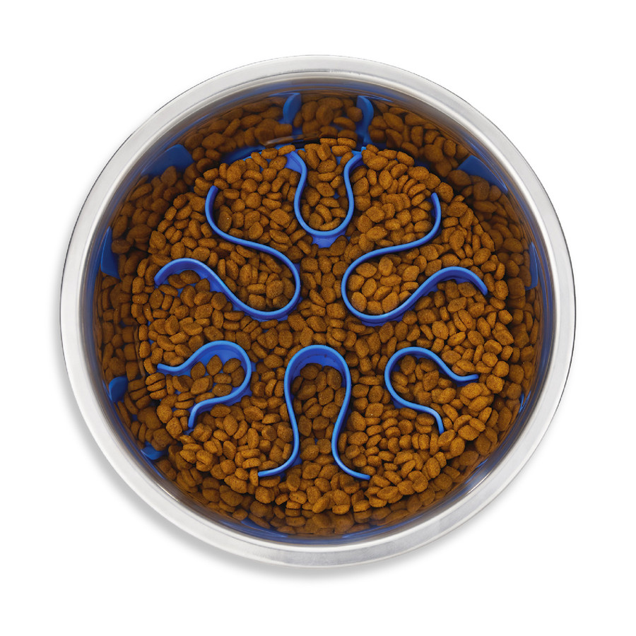 Fun Feeder Stainless Steel Slow Feeder Dog Bowl