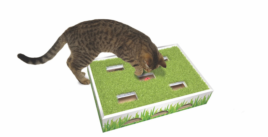 Grass Patch Hunting Box Cat Toy Green