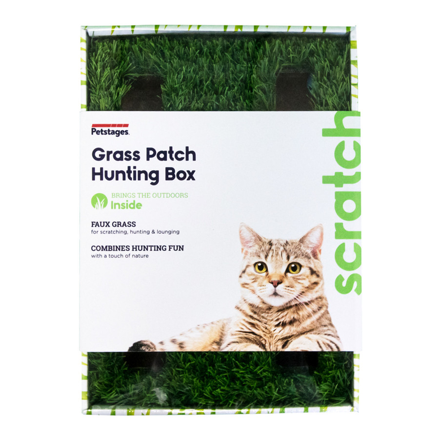 Grass Patch Hunting Box Cat Toy Green