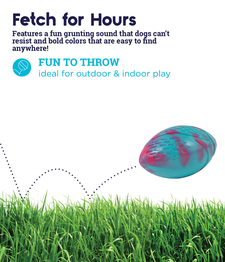 Grunt N' Punt Football Dog Toy Multi