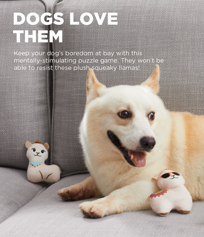 Hide A Llama Plush Dog Toy Puzzle Multi