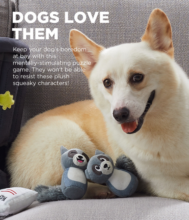 Hide A Raccoon Plush Dog Toy Puzzle Grey