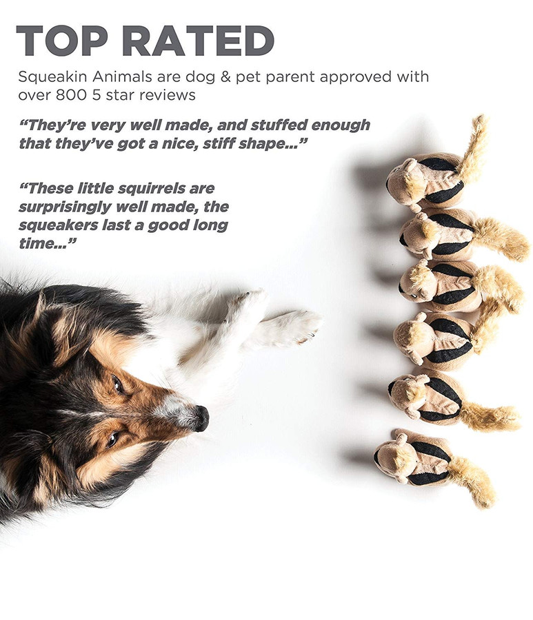 Hide A Toy Replacement Pack