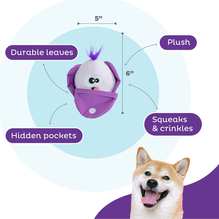 Hide N' Find Interactive Plush Dog Puzzle