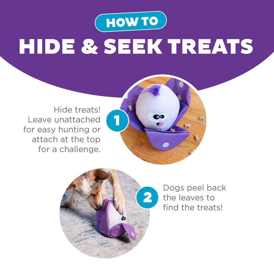 Hide N' Find Interactive Plush Dog Puzzle
