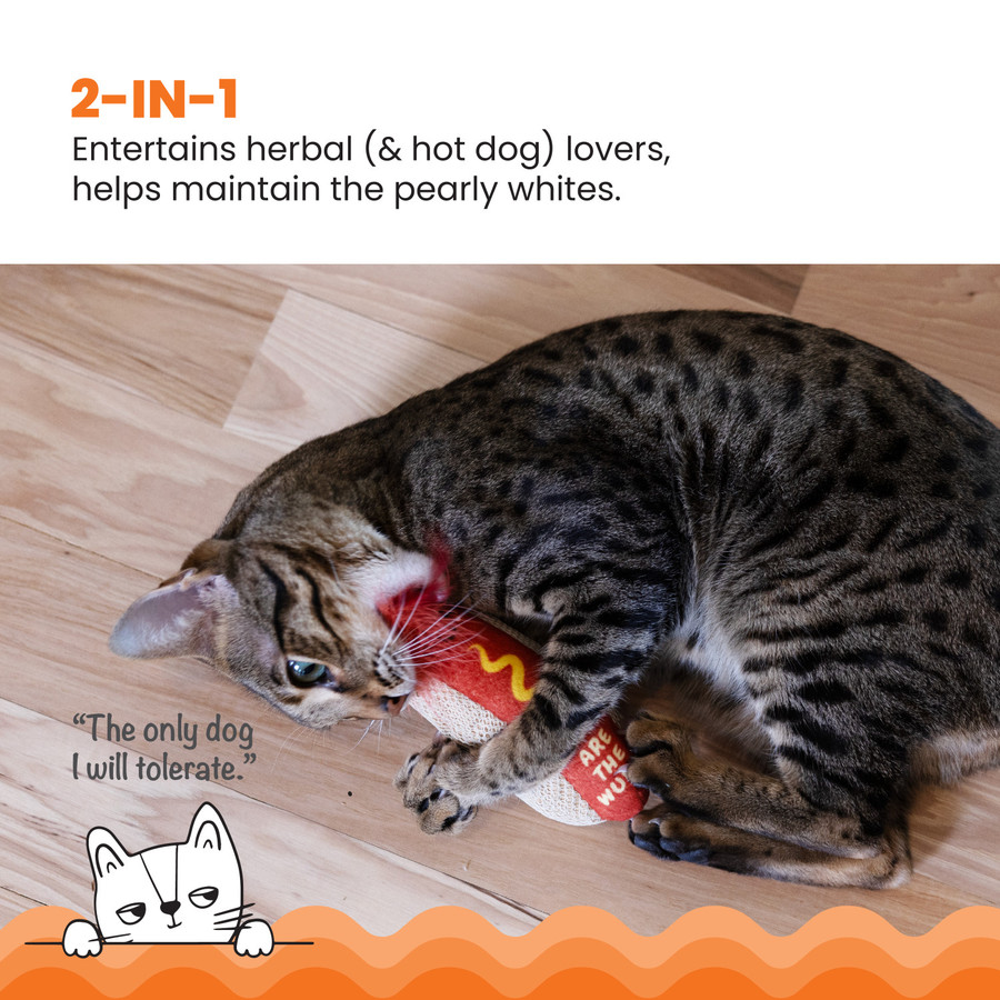 Hot Dog Kicker Catnip Toy And Dental Toy For Cats