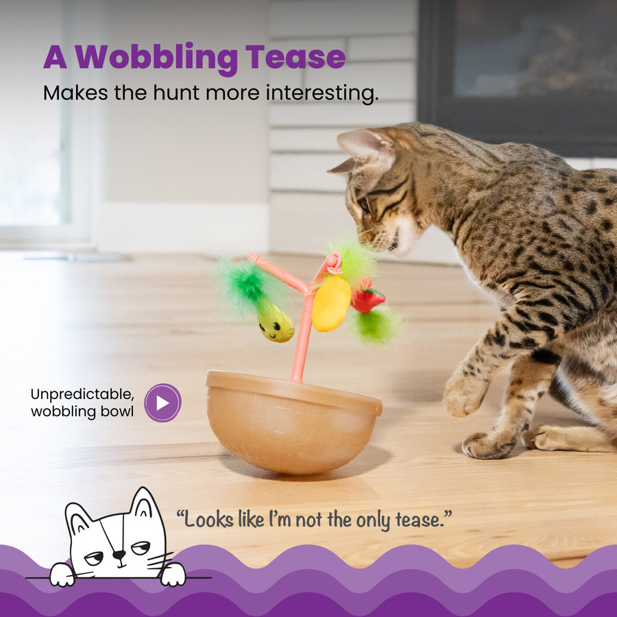 Hunt N' Wobble Fruit Bowl Wobbling Cat Toy