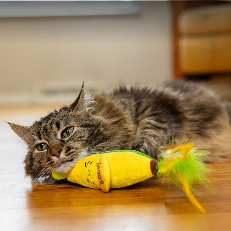 KICKER PEELIN' GOOD BANANA