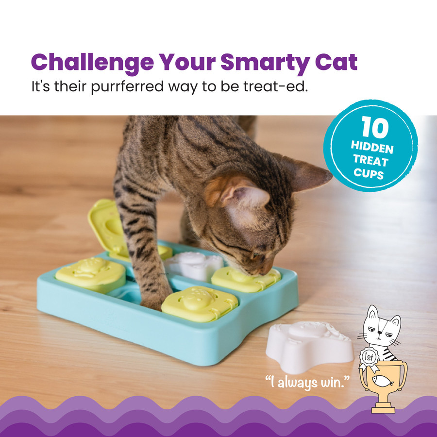 Kitty Cube Puzzle For Cats